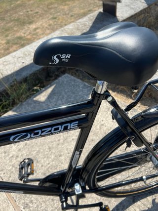 Bicicleta Holandesa President Talla XL
