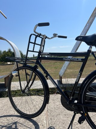 Bicicleta Holandesa President Talla XL