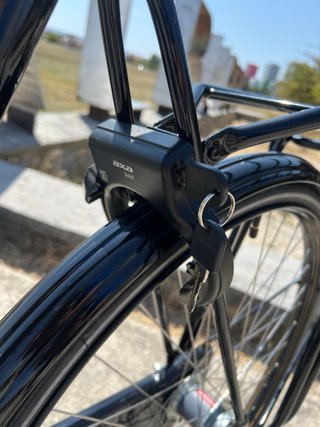 Bicicleta Holandesa President Talla XL