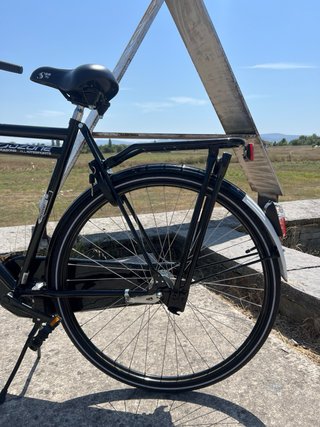 Bicicleta Holandesa President Talla XL