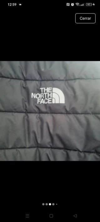 Chaqueta The North Face L Junior Negra