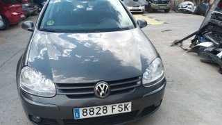 Volkswagen Golf 2007