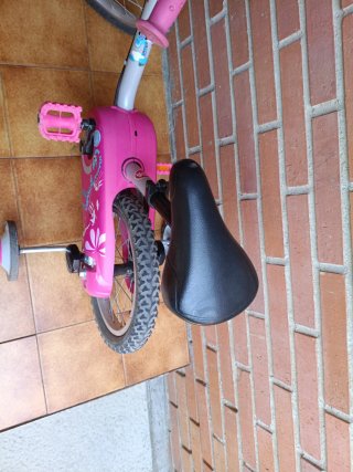 Bicicleta infantil