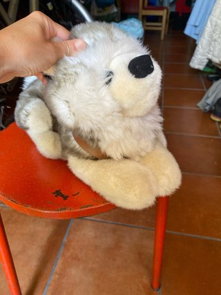 Peluche Trudi cane husky