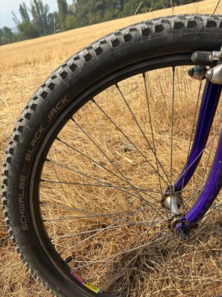 BTT Razesa Morada talla M