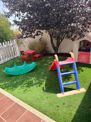 Tobogán y Cocodrilo Infantil para Jardín