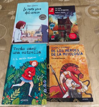 Lote libros lectura