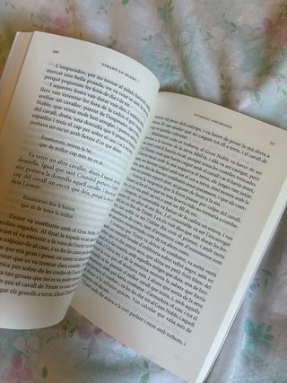 Tirant lo Blanc. Episodis amorosos. Text adapta...
