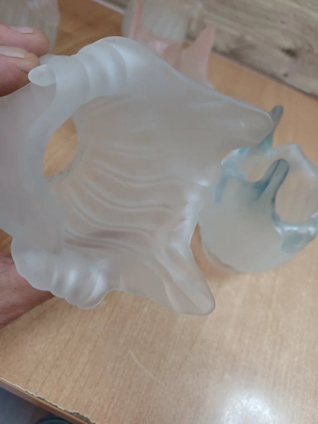 Juego de 5 tulipas de cristal para lámpara