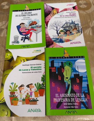 Lote libros lectura Anaya