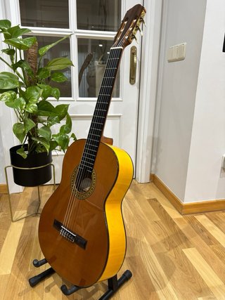 Guitarra Clásica Tomás Leal Mejías