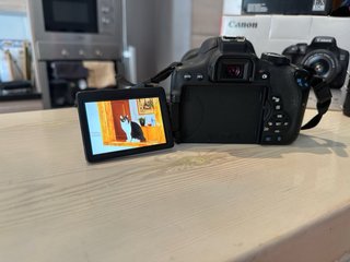 Canon EOS 750D + Sigma 17-50mm f/2.8 EX DC 3500 d