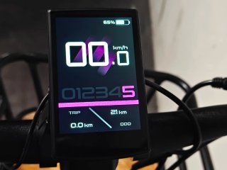 ENGWE E26 3.0 Pro Bicicleta Eléctrica