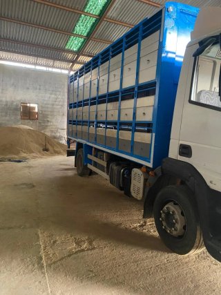 Iveco Daily 2015