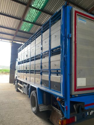 Iveco Daily 2015
