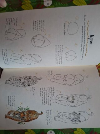 Lote libros animales