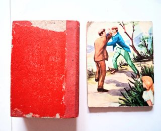 novelas amorosas de bolsillo Corin Tellado y otros