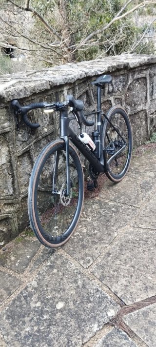 Orbea orca