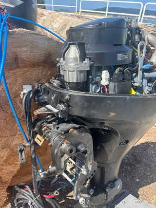 Suzuki DF 25 Morse fueraborda