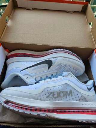 Pegasus Premium Zapatillas
