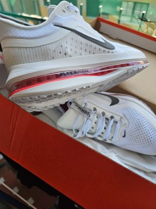 Pegasus Premium Zapatillas