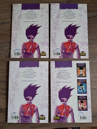Manga Flag Fighter Completa 1-4