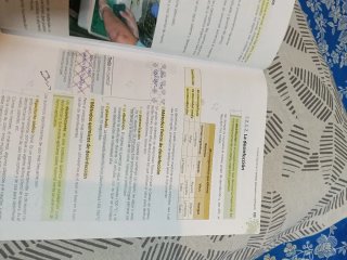 Atención higiénica