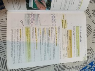 Atención higiénica