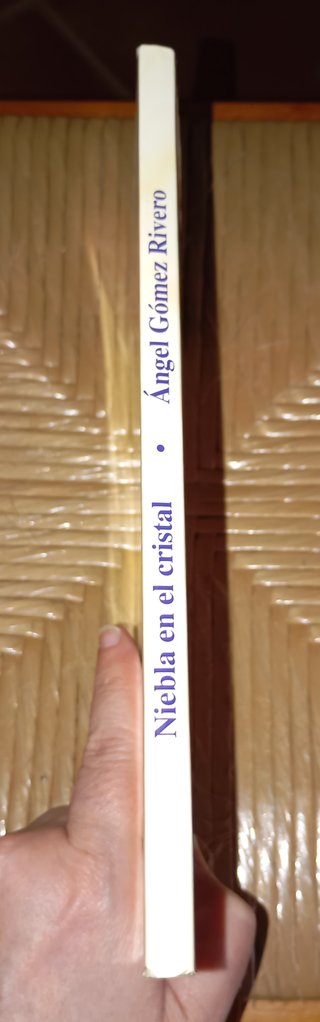 Libro: Niebla en el Cristal.