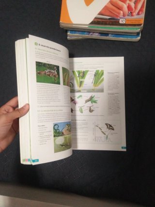 Biología, Geología y Ciencias Ambientales. 1 Ba...