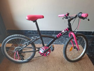 Bicicleta infantil 20 pulgadas