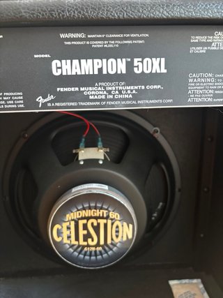 Amplificador Fender Champion 50 XL