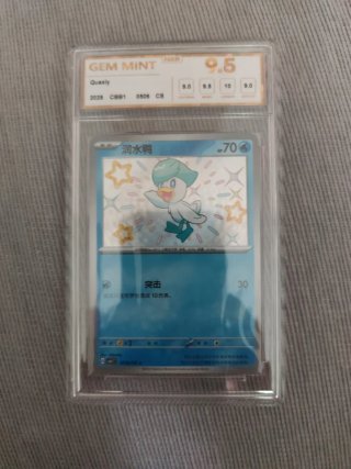 Pokemon Quaxly Shiny - Carta Graduada 9.5