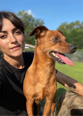 Cuidadora canina con 29 años de experiencia ️