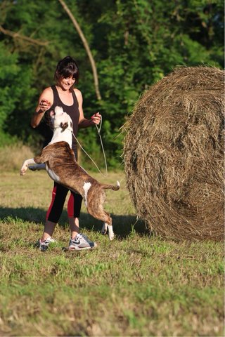 Cuidadora canina con 29 años de experiencia ️