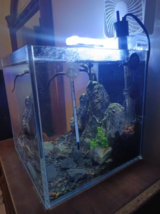 Acuario 25x25x25 con Luz Led, Filtro y Calentador
