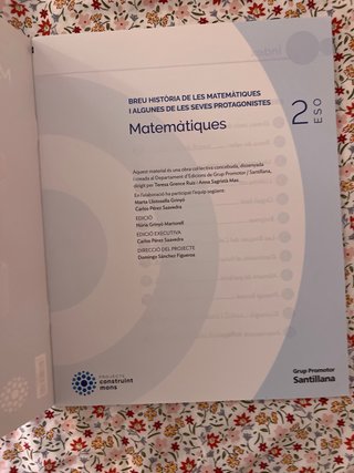 Matemàtiques, 2 ESO, Projecte Construint mons
