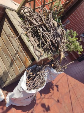 Sarmiento para barbacoa