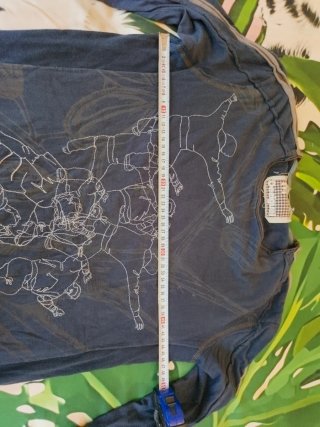 Camiseta manga larga Desigual