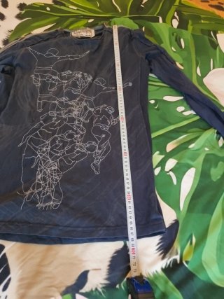 Camiseta manga larga Desigual