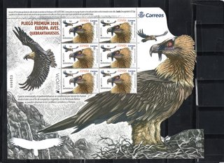 PLIEGOS PREMIUN VARIOS AÑOS