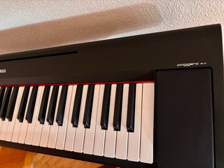 Teclado Yamaha Piaggero NP15.