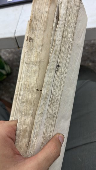 Libro contabilidad inventario tienda 1878