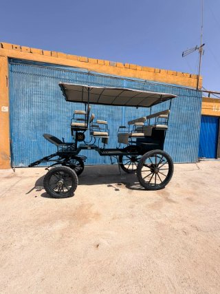 Carro de caballos para 6 personas