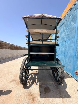Carro de caballos para 6 personas