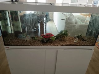 Acuario Eheim