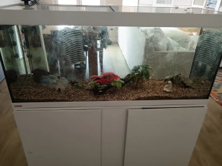Acuario Eheim