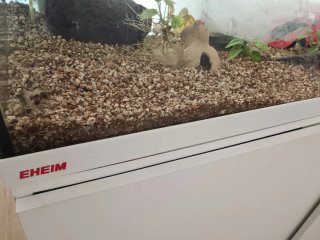 Acuario Eheim