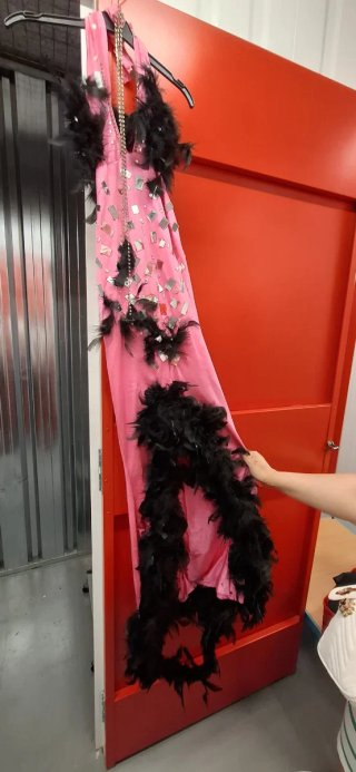 Vestido rosa con plumas y lentejuelas