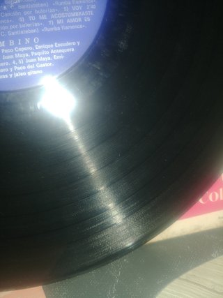 Vinilo Latino Bambino